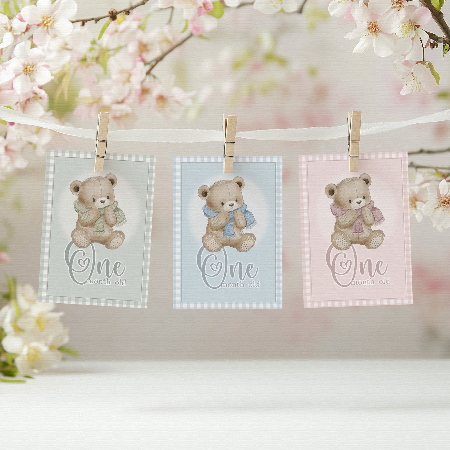 All Bear Sets
