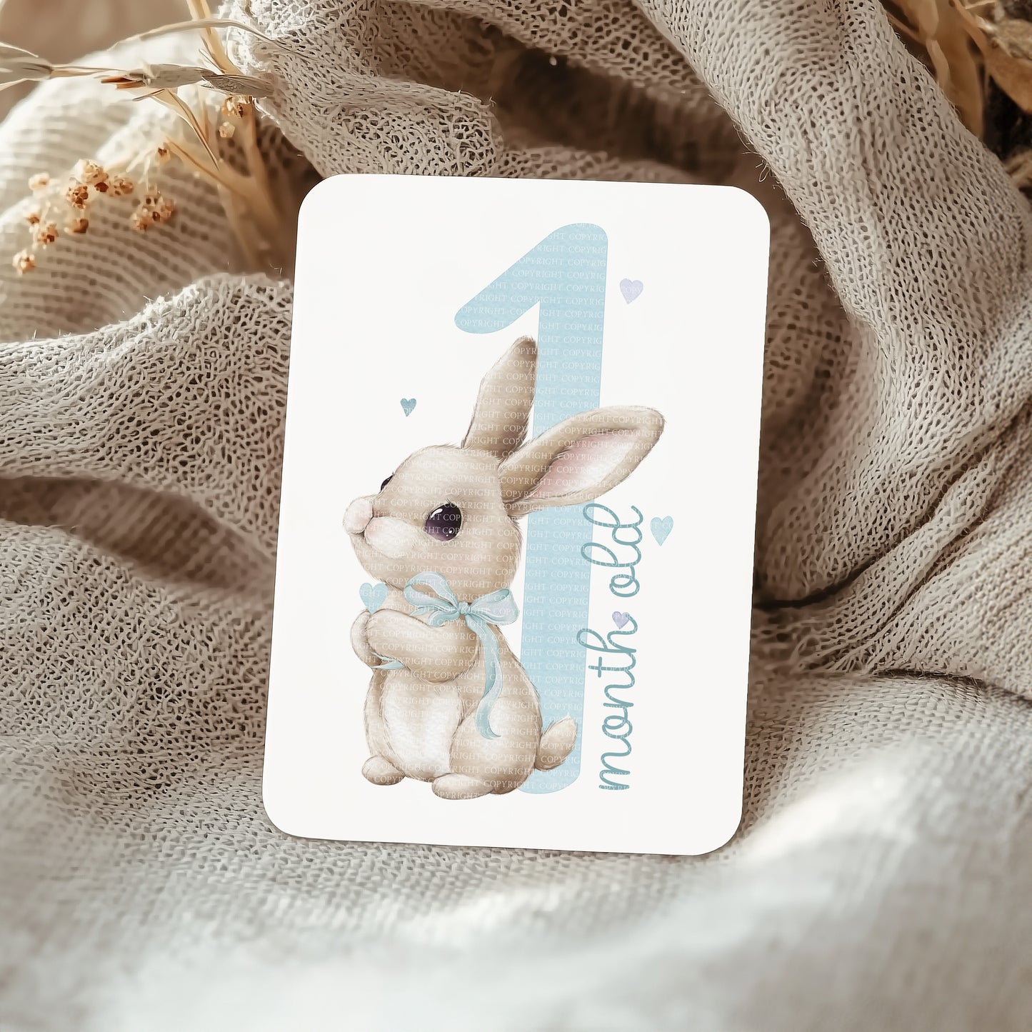 Beige Pink Blue Bunny Numbers