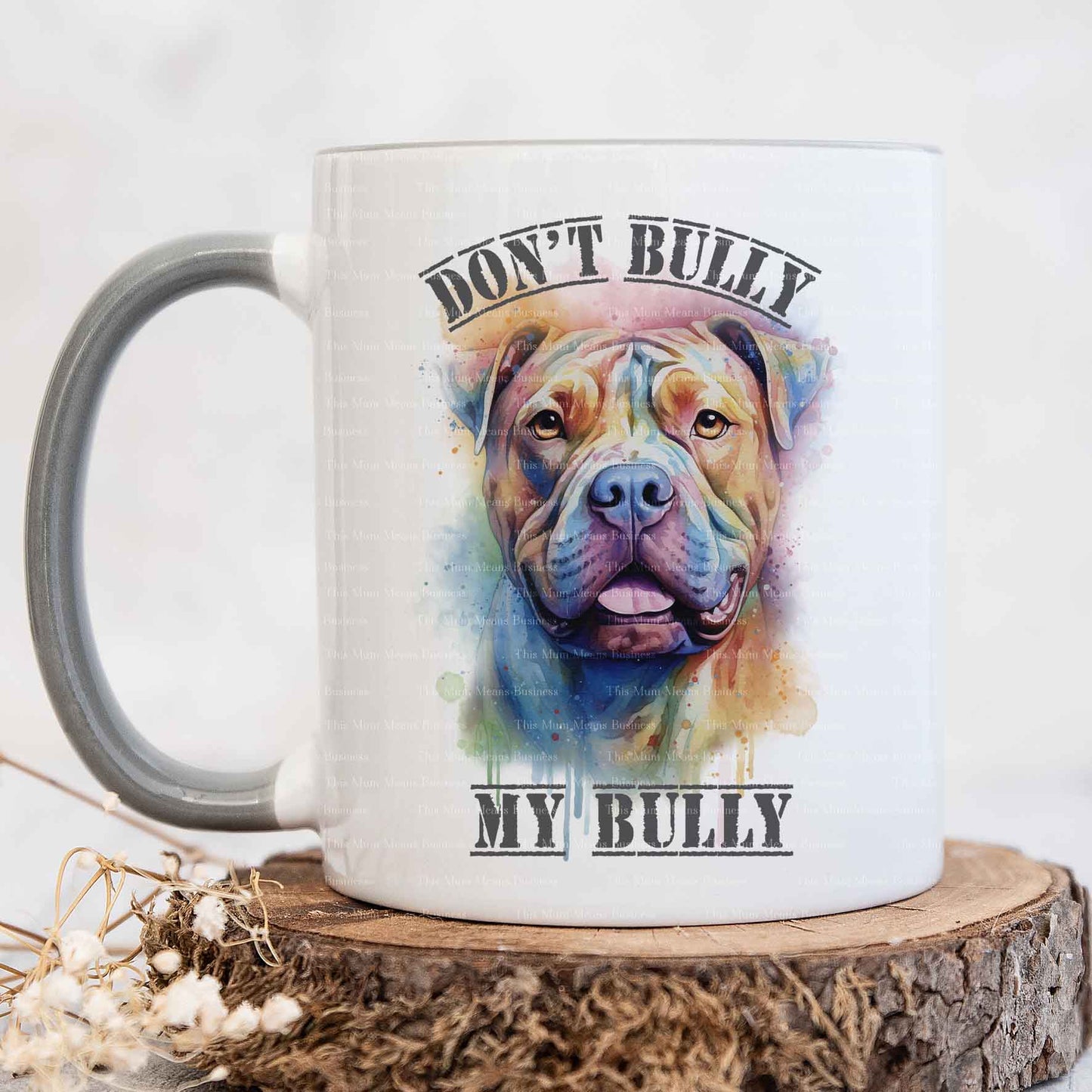 Bully My Bully - Rainbow