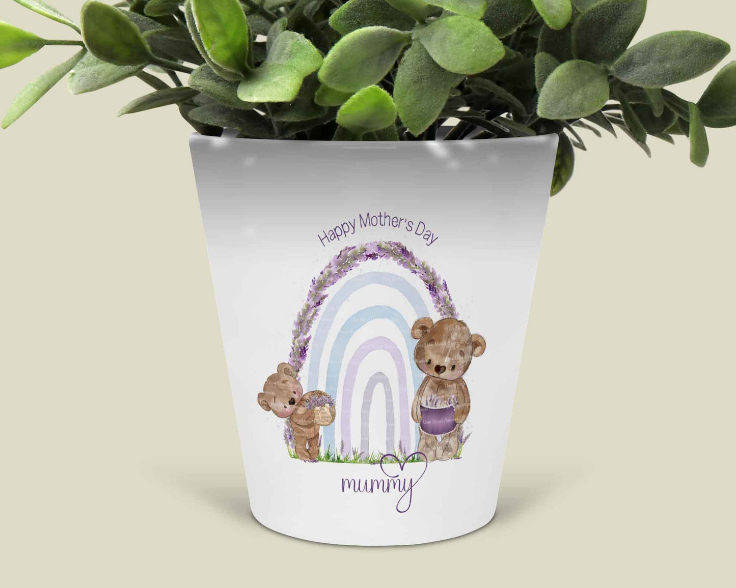 Lavender's Blue Bear Rainbows