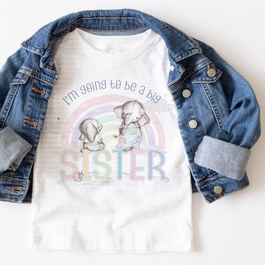 Nelephants Big Brother Sister