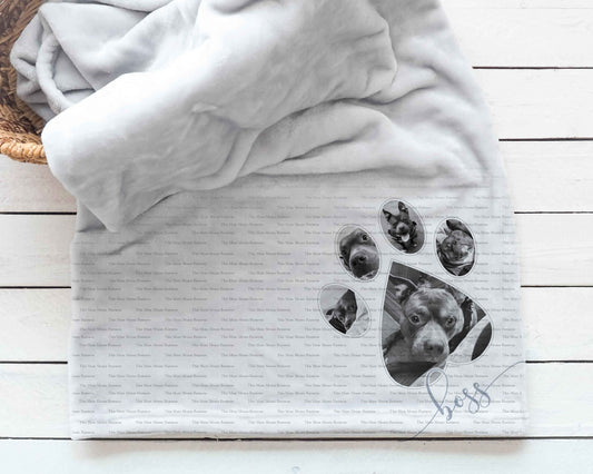 Paw Photo Templates
