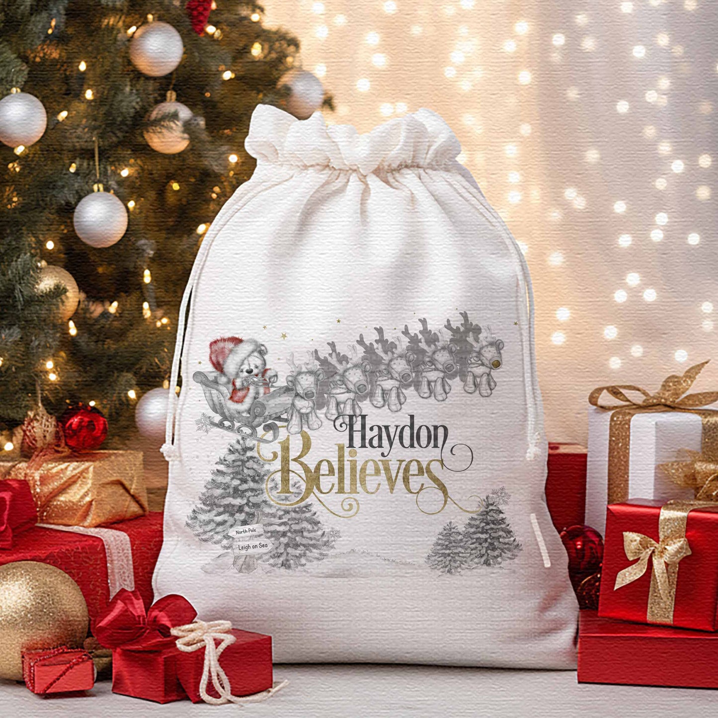 Santa Reindeer Sleigh Set