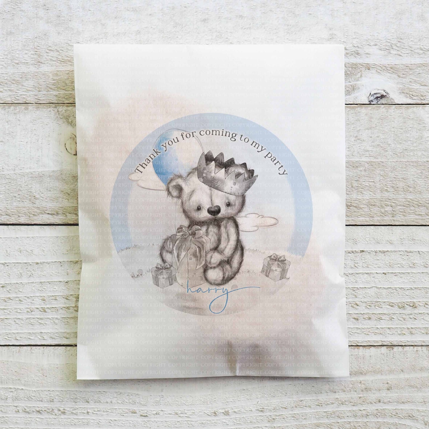 Sketchy Teddy Party Set