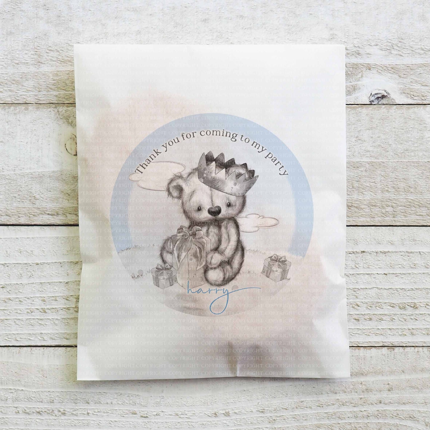 Sketchy Teddy Party Set