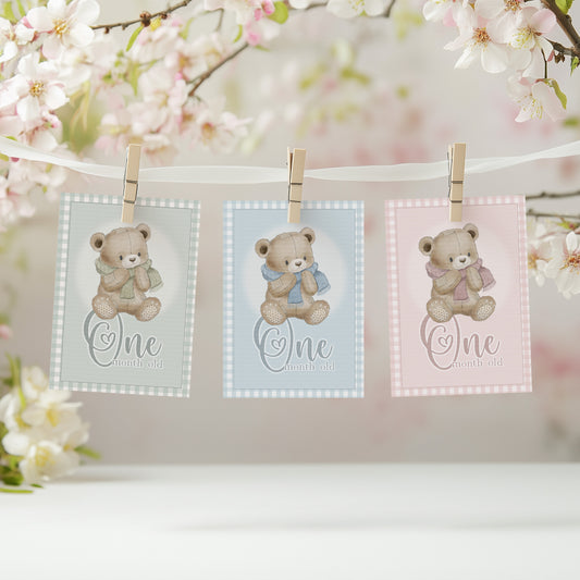 All Bear Sets