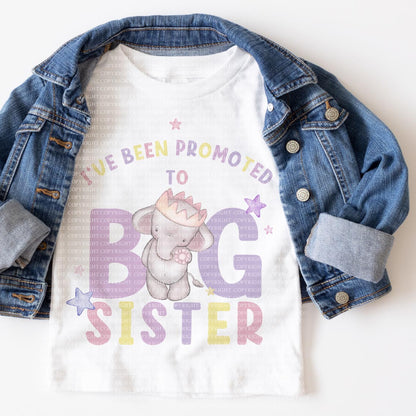 Big Sister Brother Elles