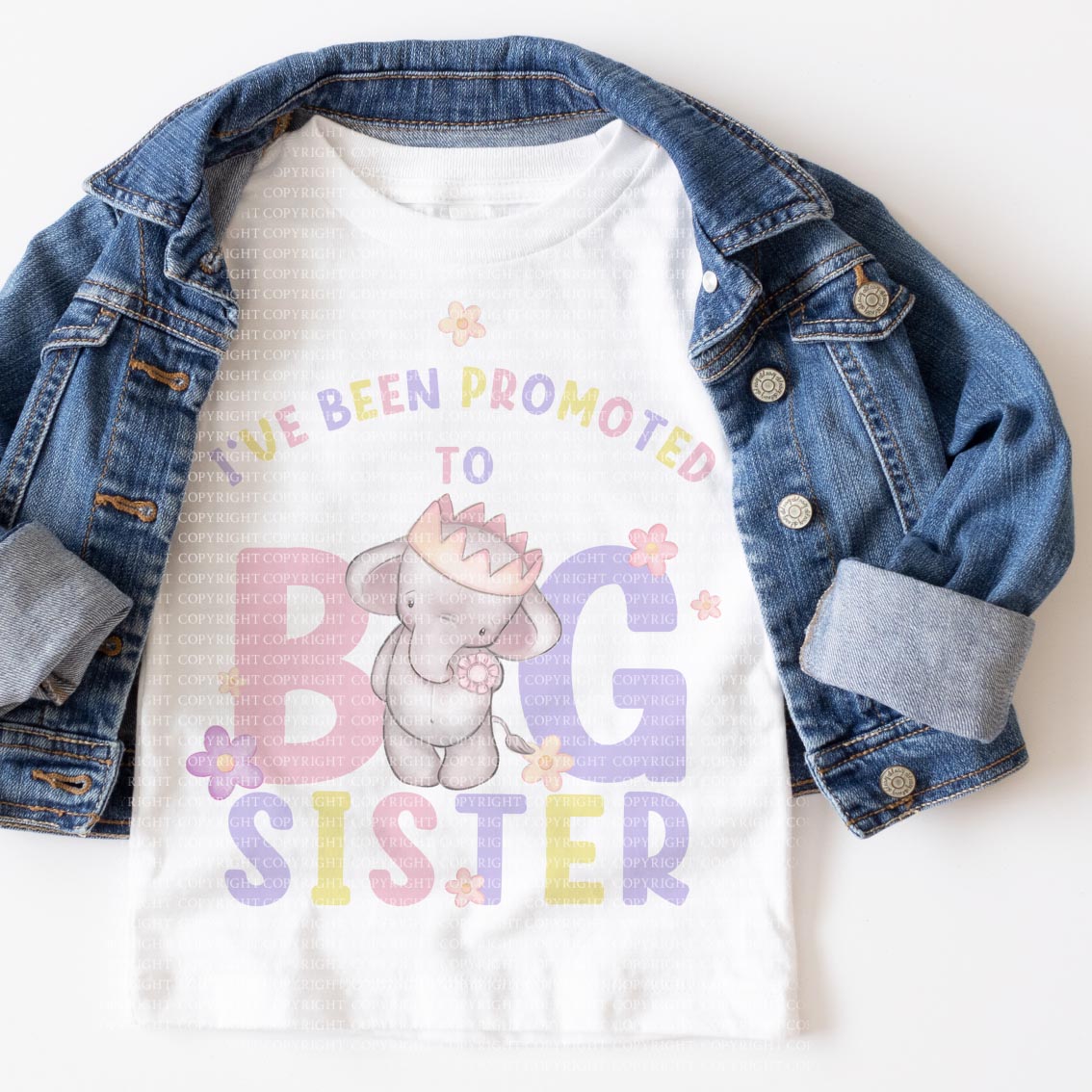 Big Sister Brother Elles