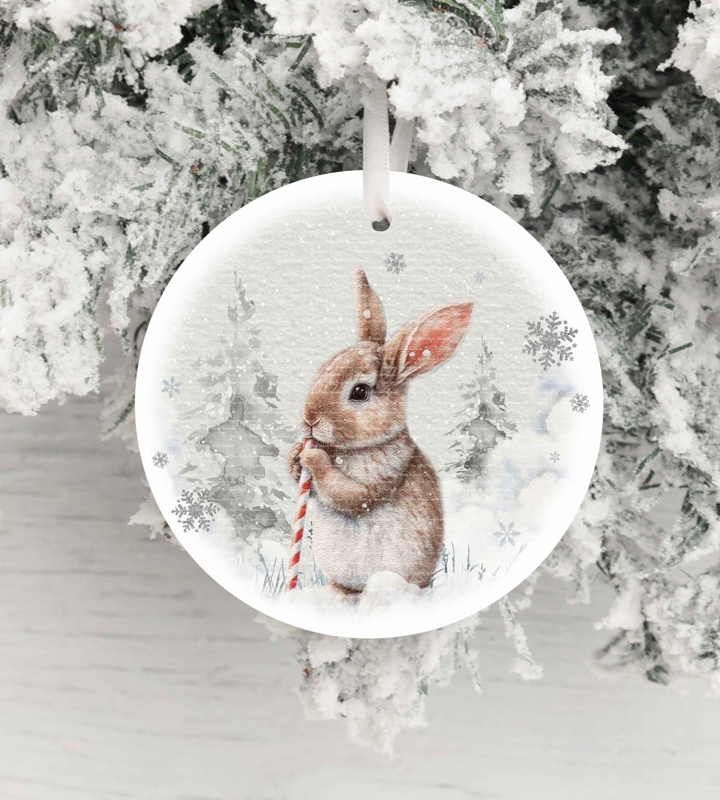 Rabbit Candy Cane Winter Christmas