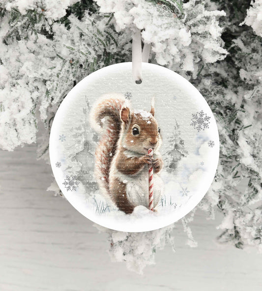 Squirrel Candy Cane Winter Christmas