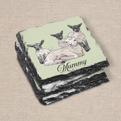 CK Sheep Set