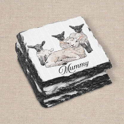 CK Sheep Set