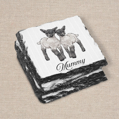 CK Sheep Set