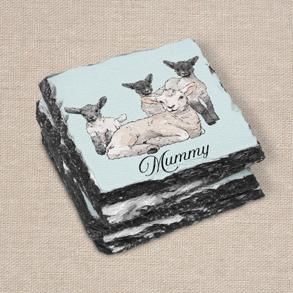 CK Sheep Set