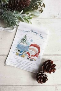 Father Christmas Dummy Fairy Set