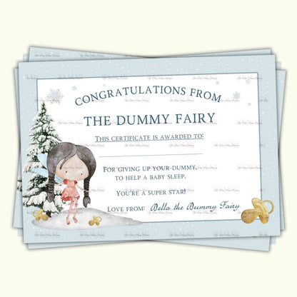 Christmas Fairy Dummy Set