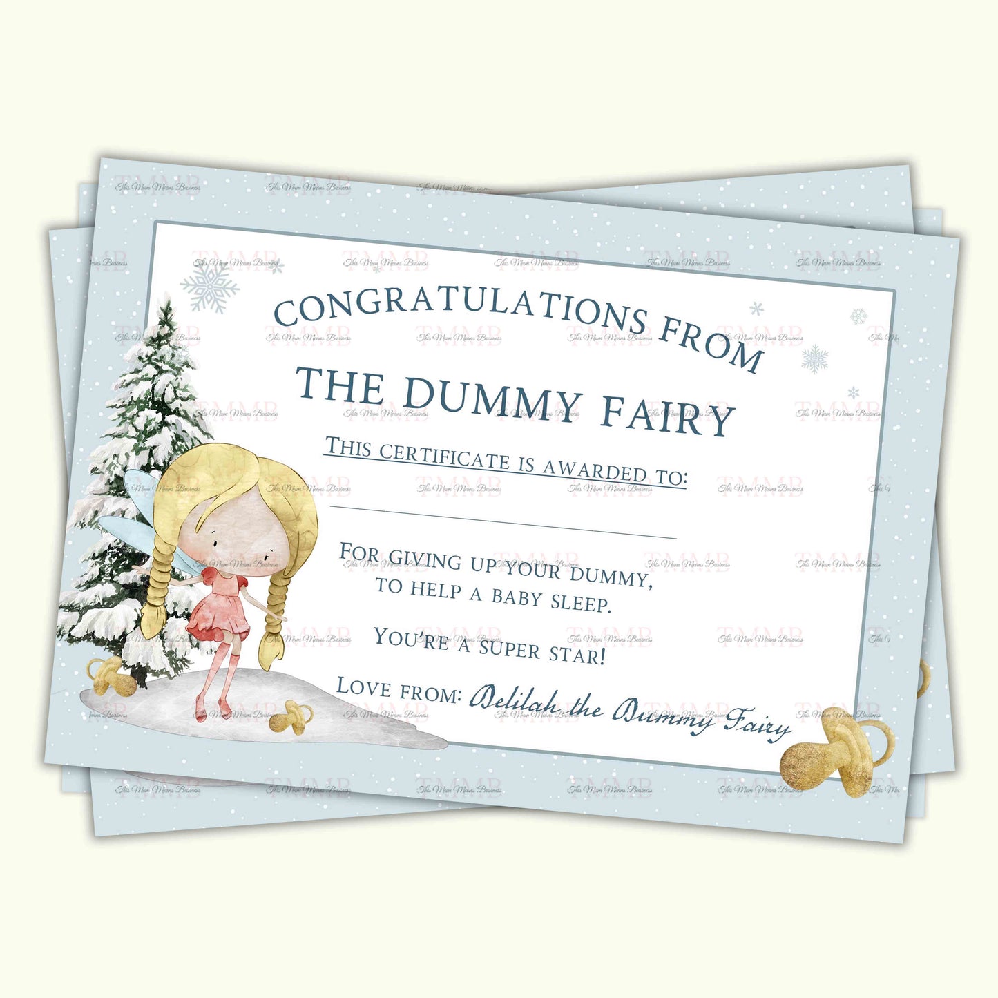 Christmas Fairy Dummy Set