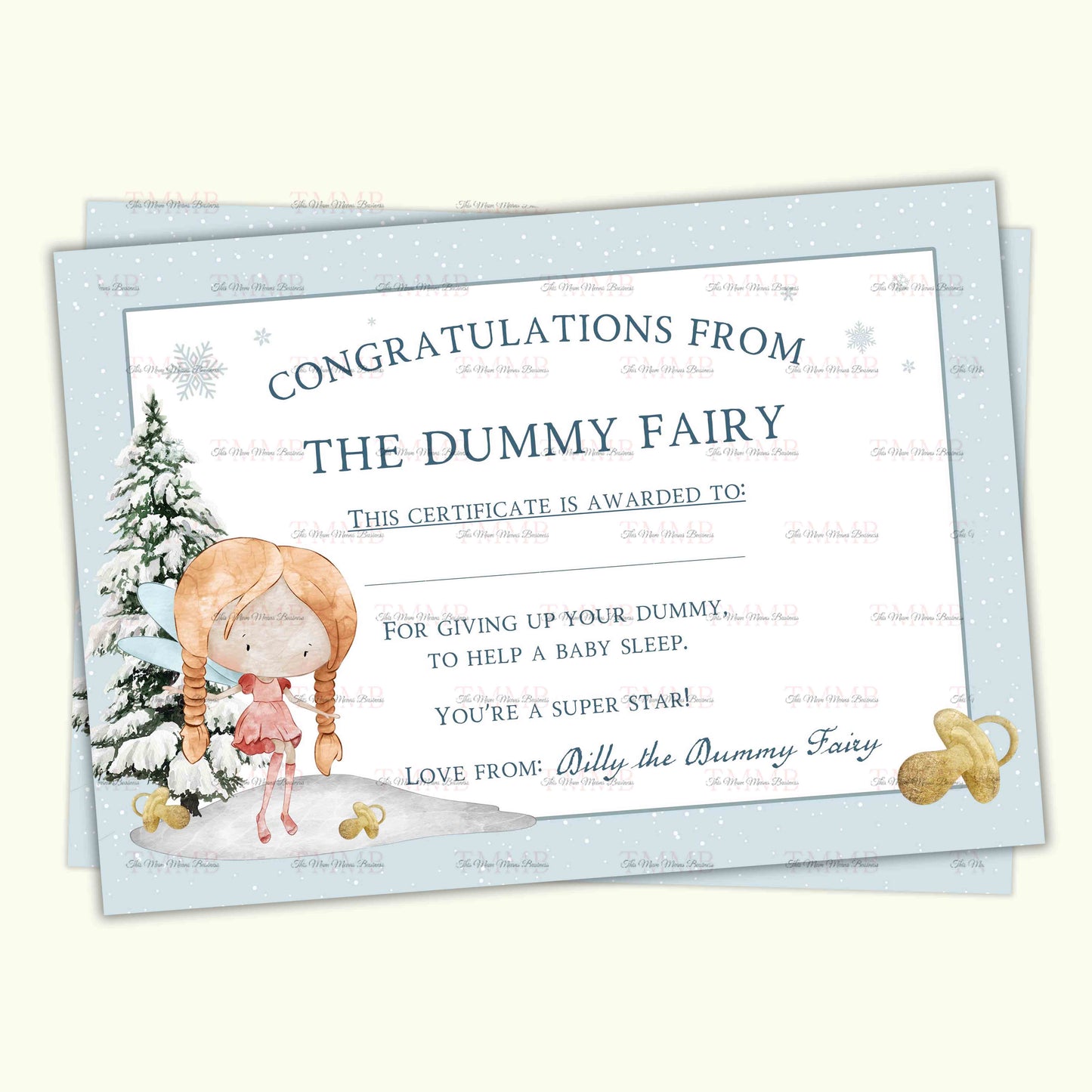Christmas Fairy Dummy Set