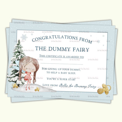 Christmas Fairy Dummy Set