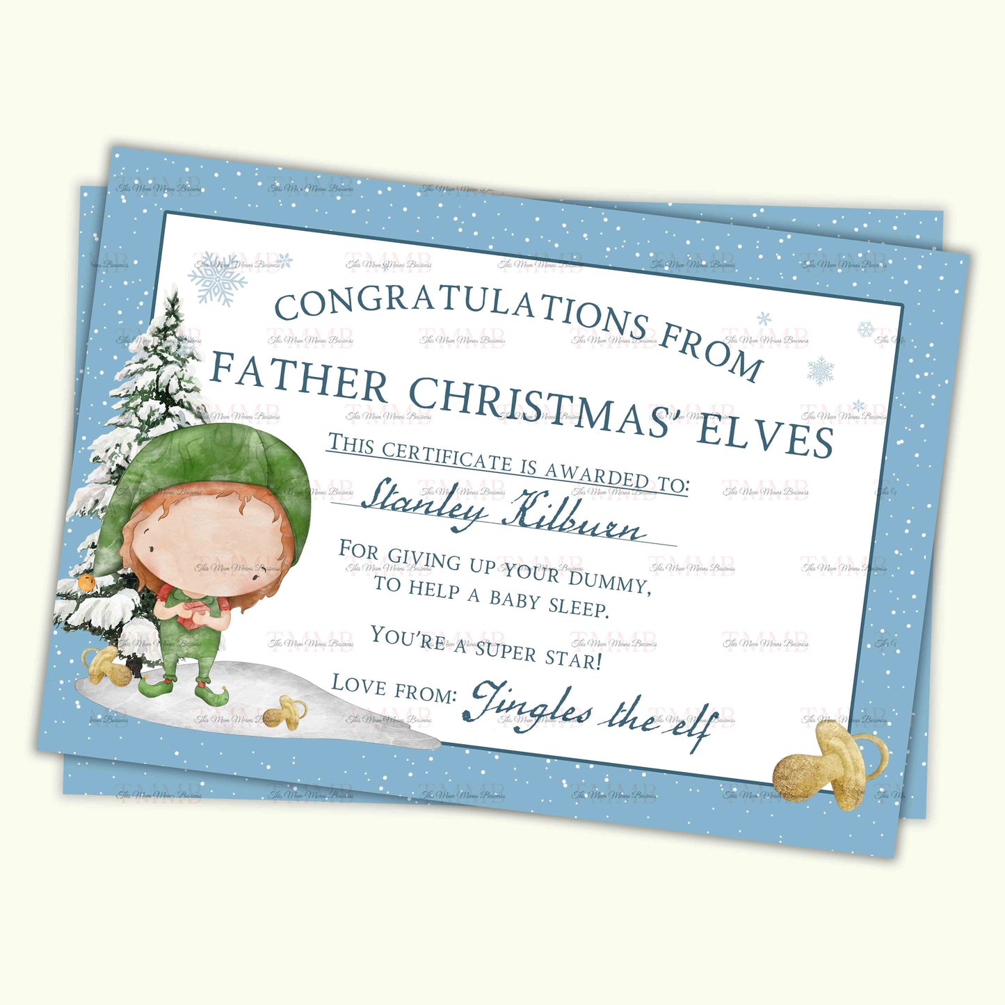 Father Christmas Dummy Fairy Set