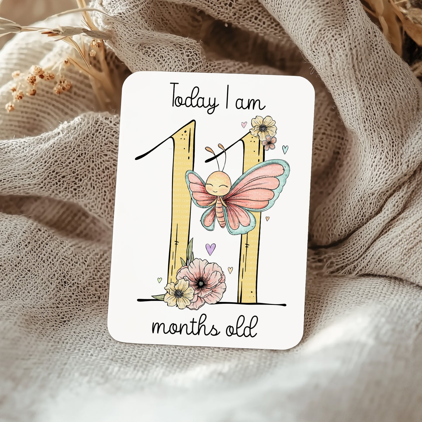 Doodle Butterfly Numbers