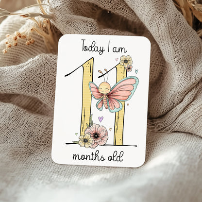 Doodle Butterfly Numbers