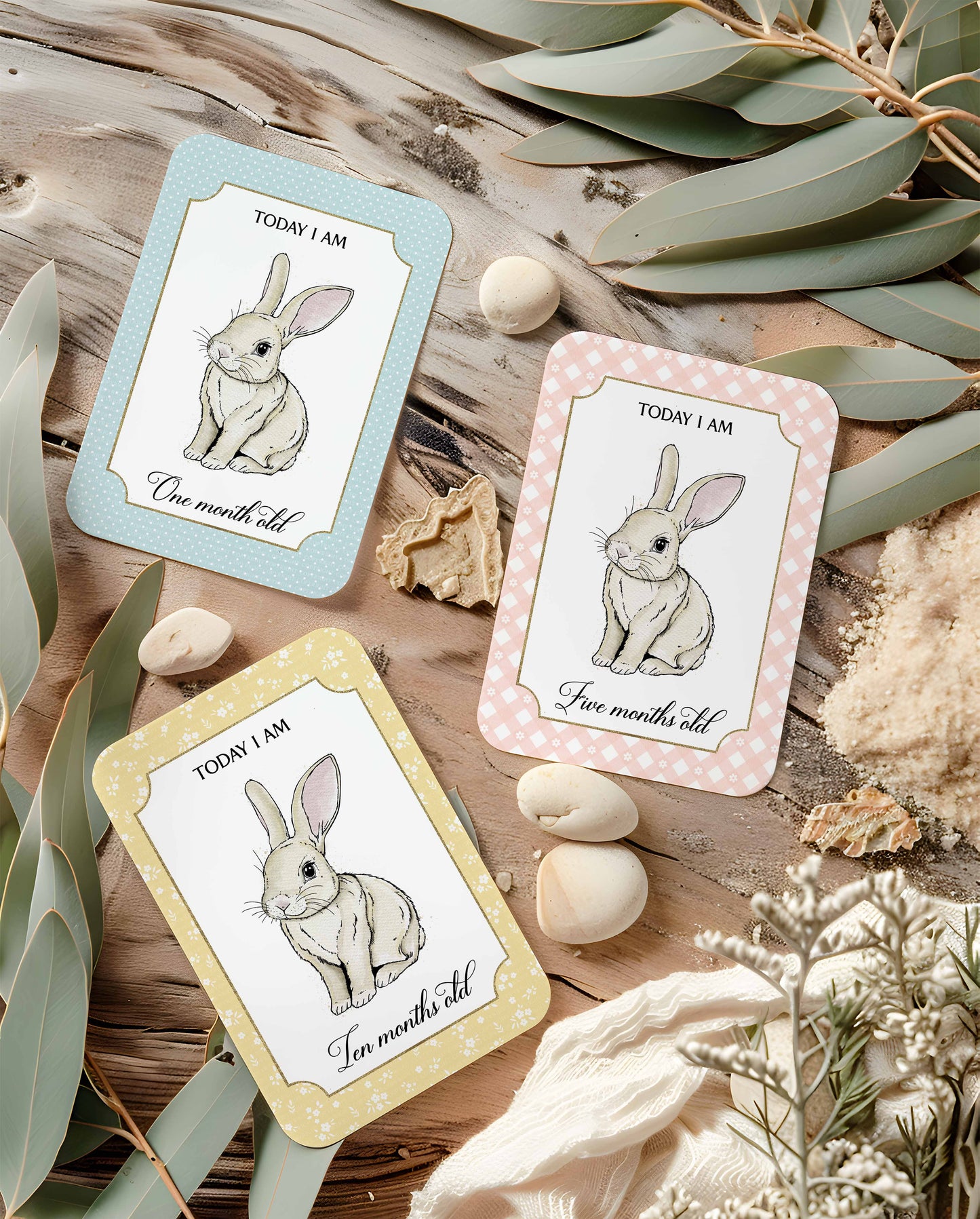 Easter Bunny Cards