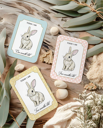 Easter Bunny Cards