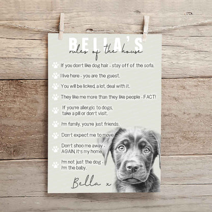 Dog House Rules Templates