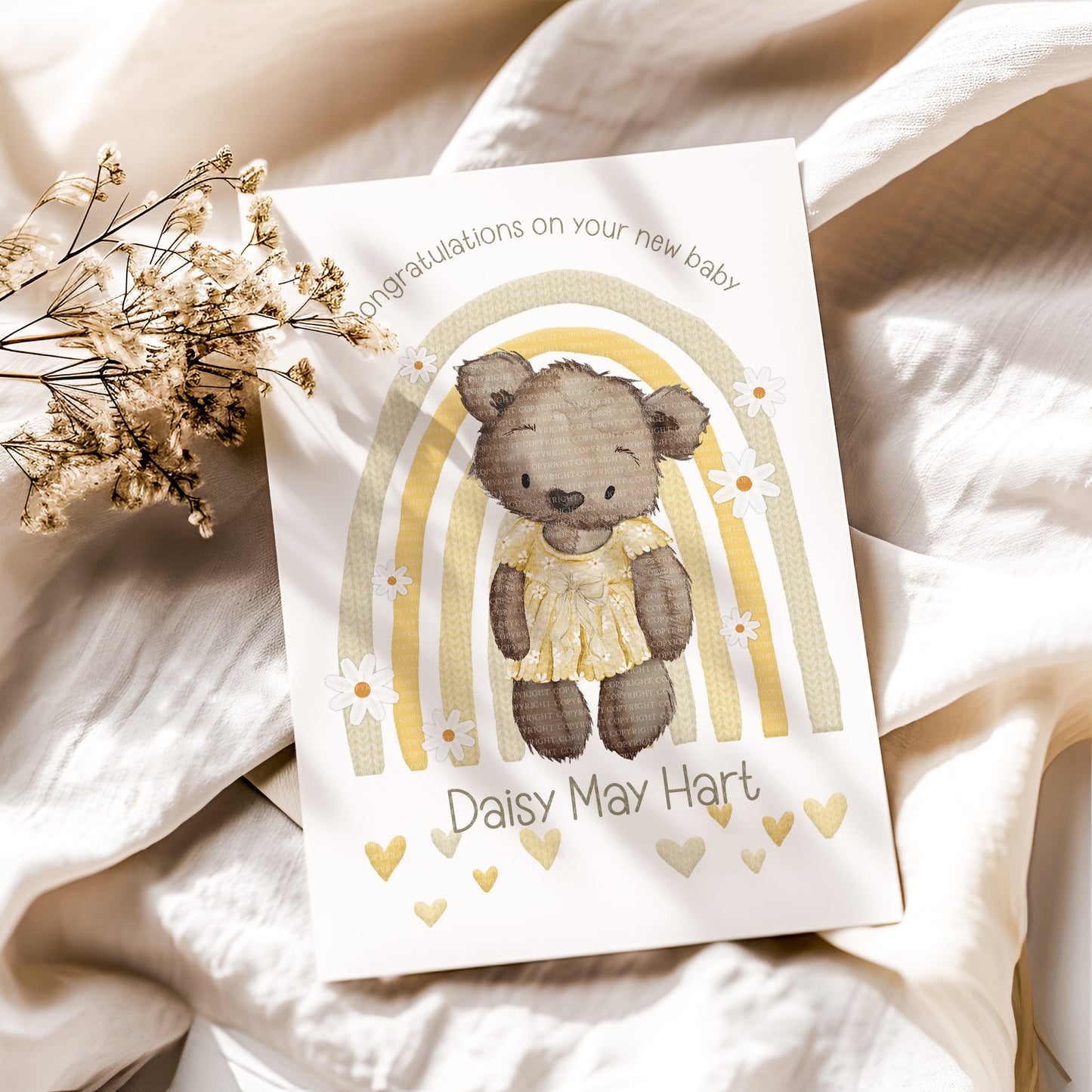 OG Daisy Bear Full Set