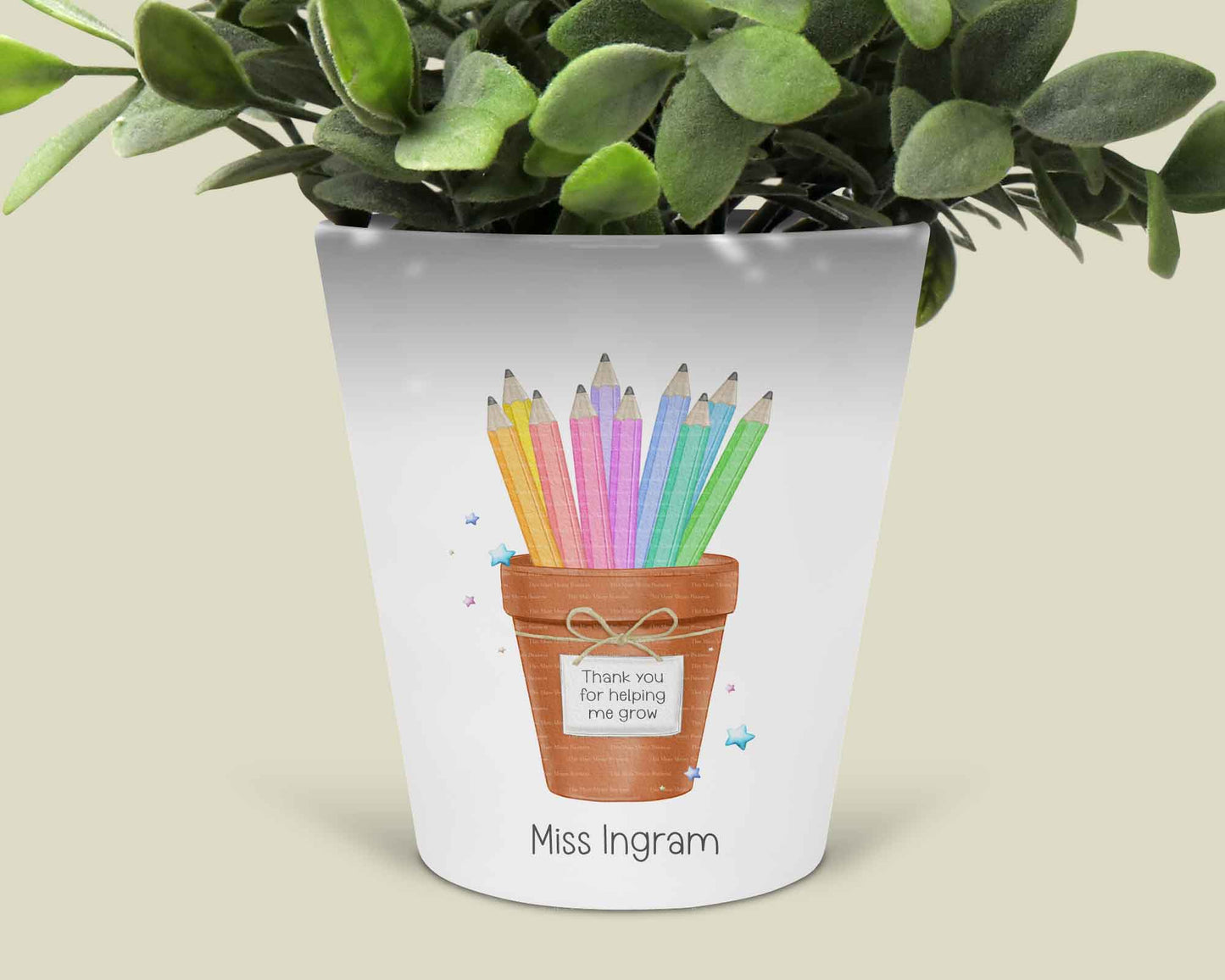 Rainbow Pencil Plant Pot