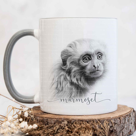 Sketchy Marmoset Monkey